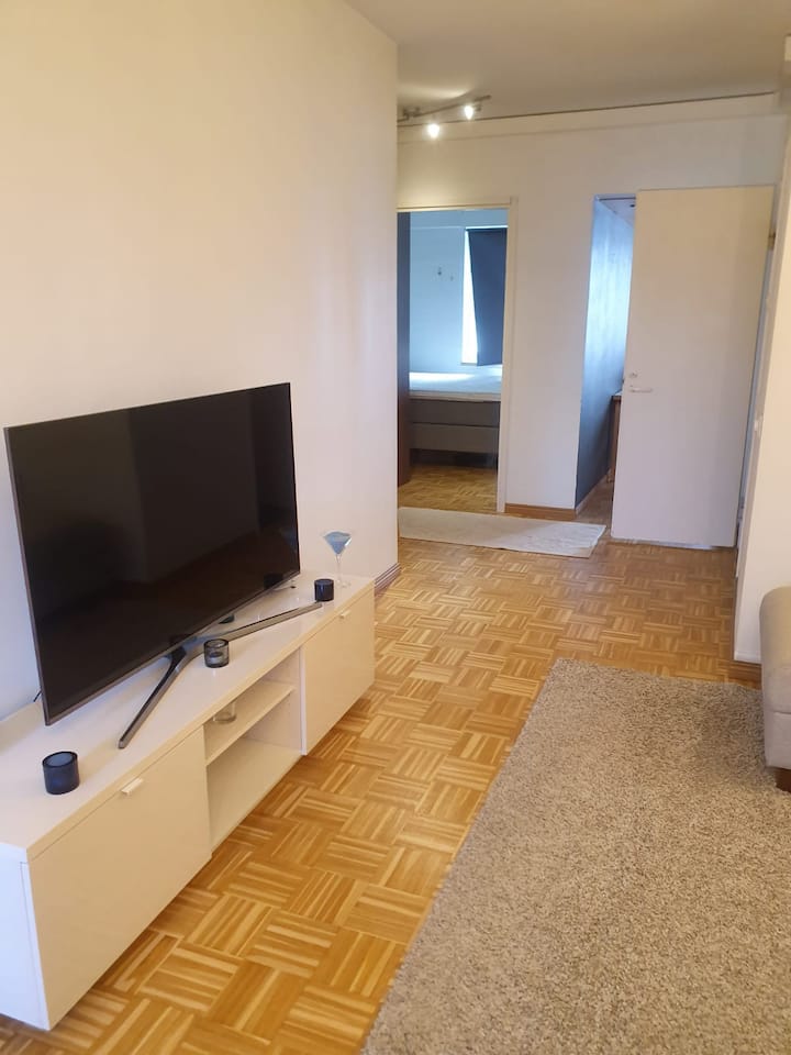 Pleasant Central Apartment Helsinki Condominiums for Rent in Helsinki
