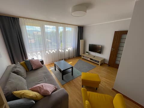 Comfortable apartment in the city center
