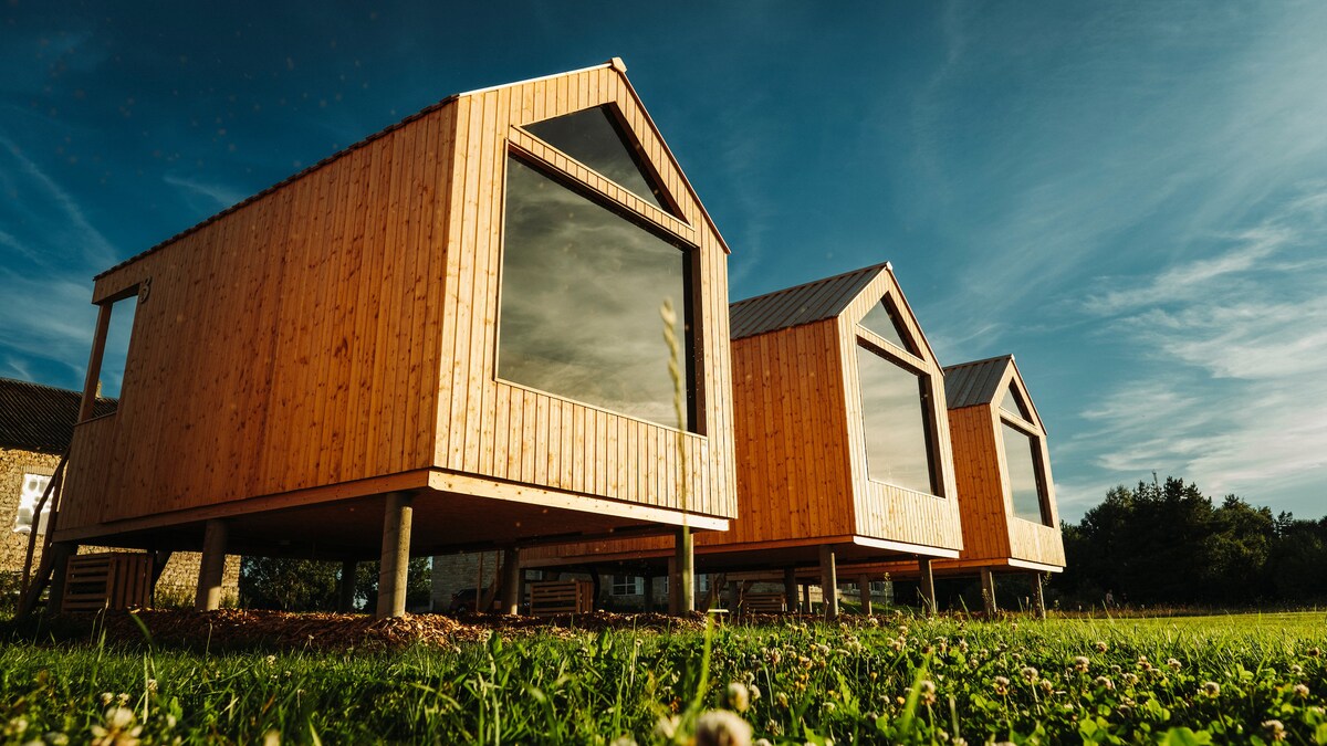 Three wooden bungalows are positioned on stilts, showcasing large front windows. The natural wood finish reflects a warm tone, complemented by a grassy area decorated with clover. A clear blue sky with scattered clouds provides a serene backdrop.