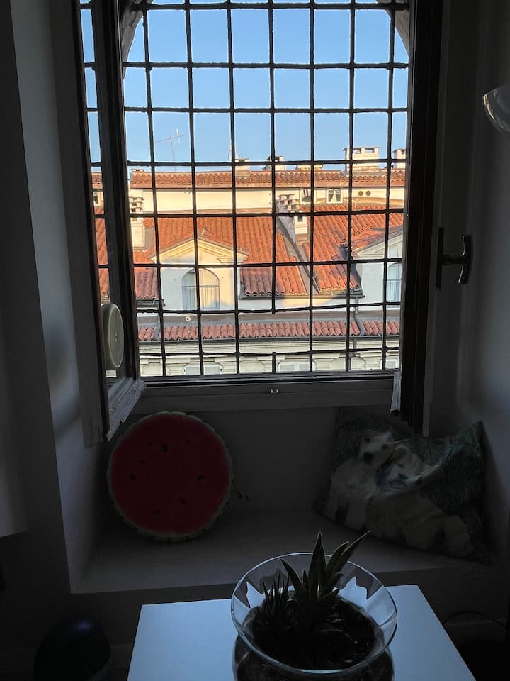 Piccola Mansardina Nel Cuore Di Torino - Turin