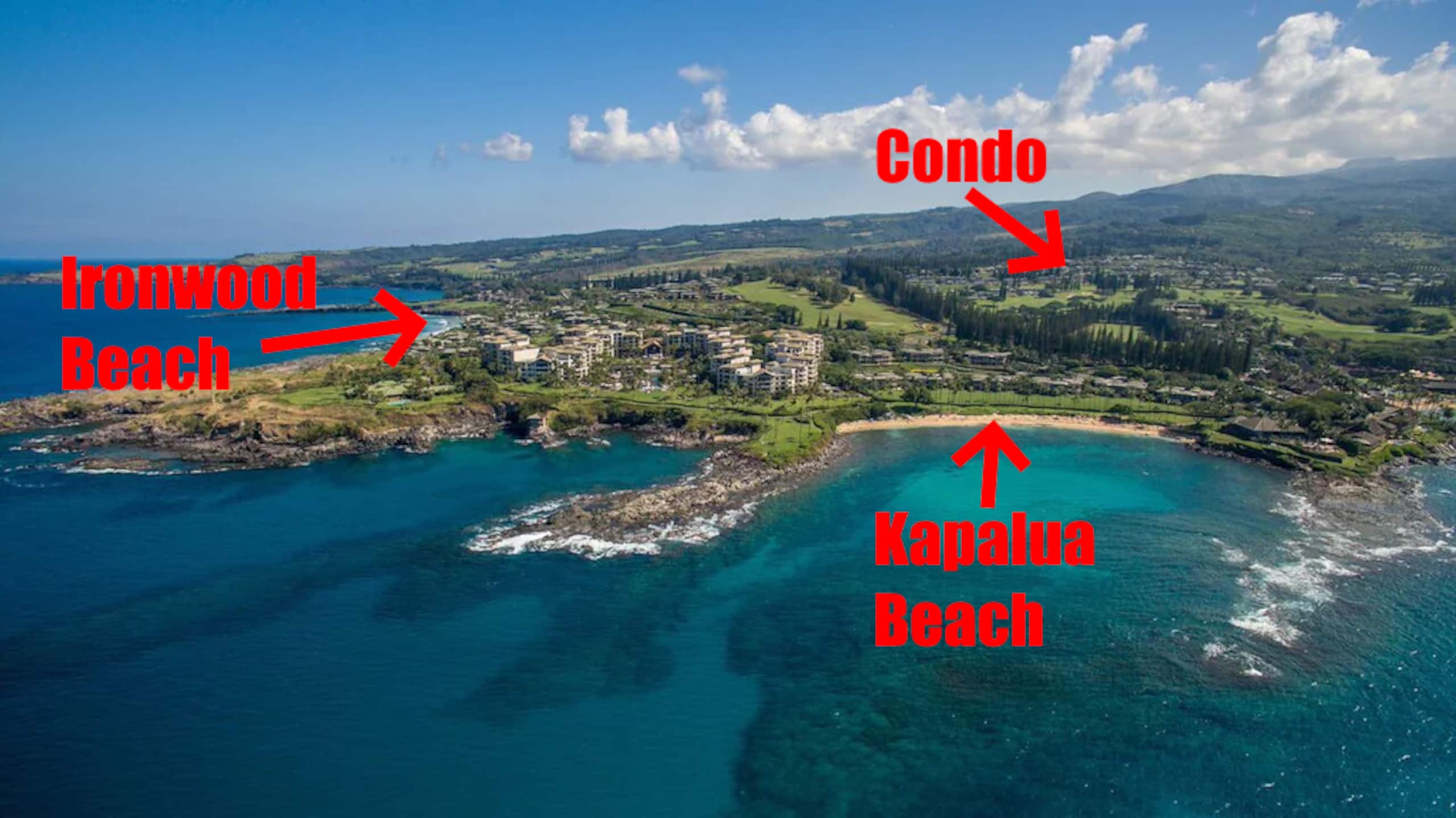 Condo in Lahaina · ★4.97 · 1 bedroom · 3 beds · 2 baths - Image 44