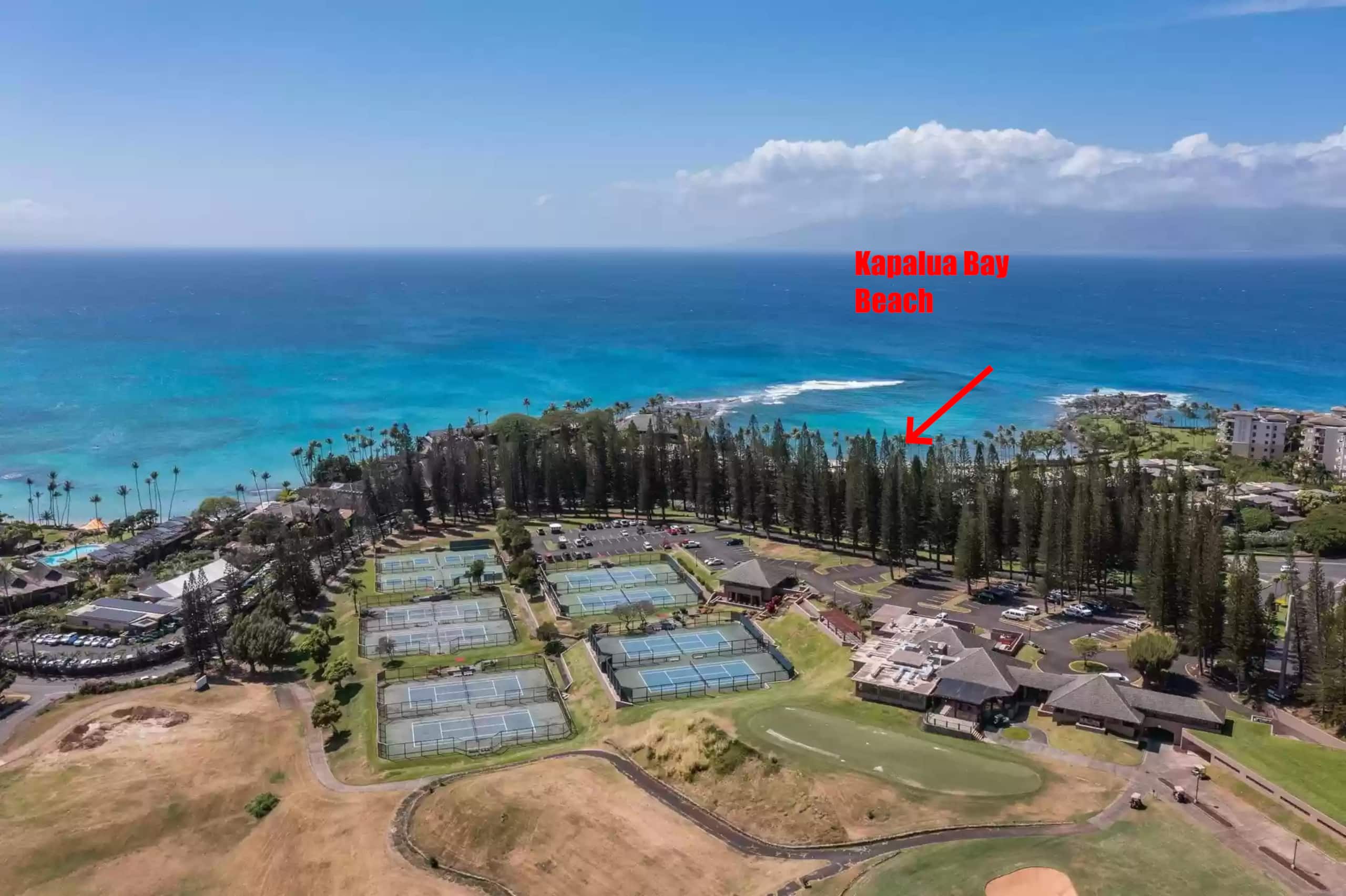 Condo in Lahaina · ★4.97 · 1 bedroom · 3 beds · 2 baths - Image 45