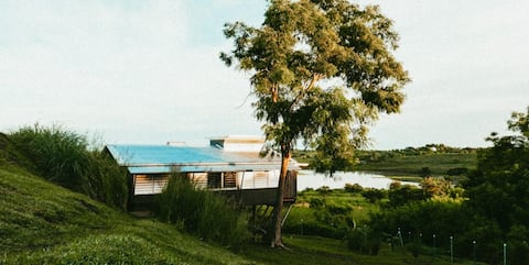 Pak Shak Vuda