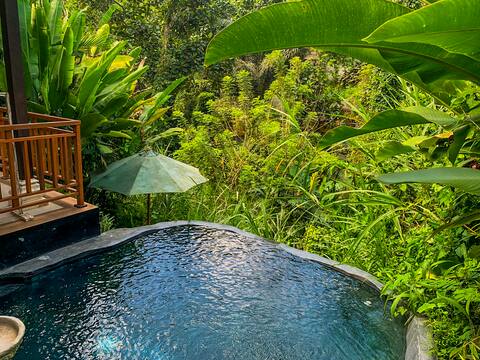 1 BR Villa with Private Pool & Jungle View