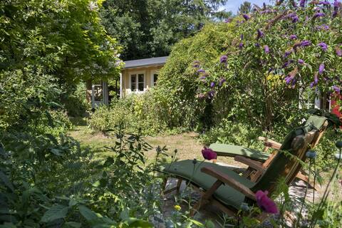 Forest cottage with wood-burning stove and private entrance to forest!