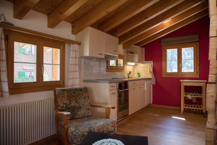Studio Ferienwohnung Mitten In Klosters - クロスタース