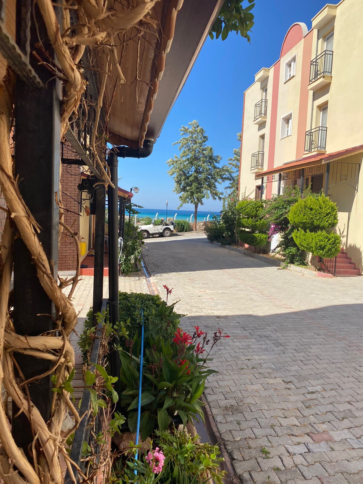 A charming pathway lined with colorful flowers leads toward the ocean. Buildings with light-colored walls and greenery are visible in the background. The blue sky and ocean are clearly seen at the end of the pathway, creating a serene coastal view.