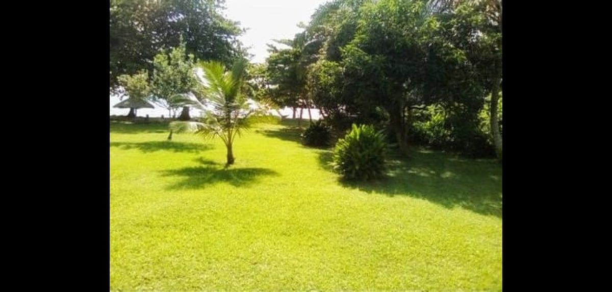 A lush green landscape is displayed, featuring a well-manicured lawn interspersed with various trees and shrubs. The vibrant greenery extends towards a line of trees that suggests proximity to a beach, providing a serene natural environment.