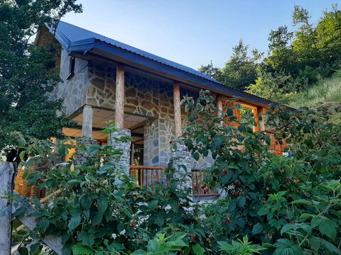 Fern Farm Luxury Studio Apartment, Biogradska Gora
