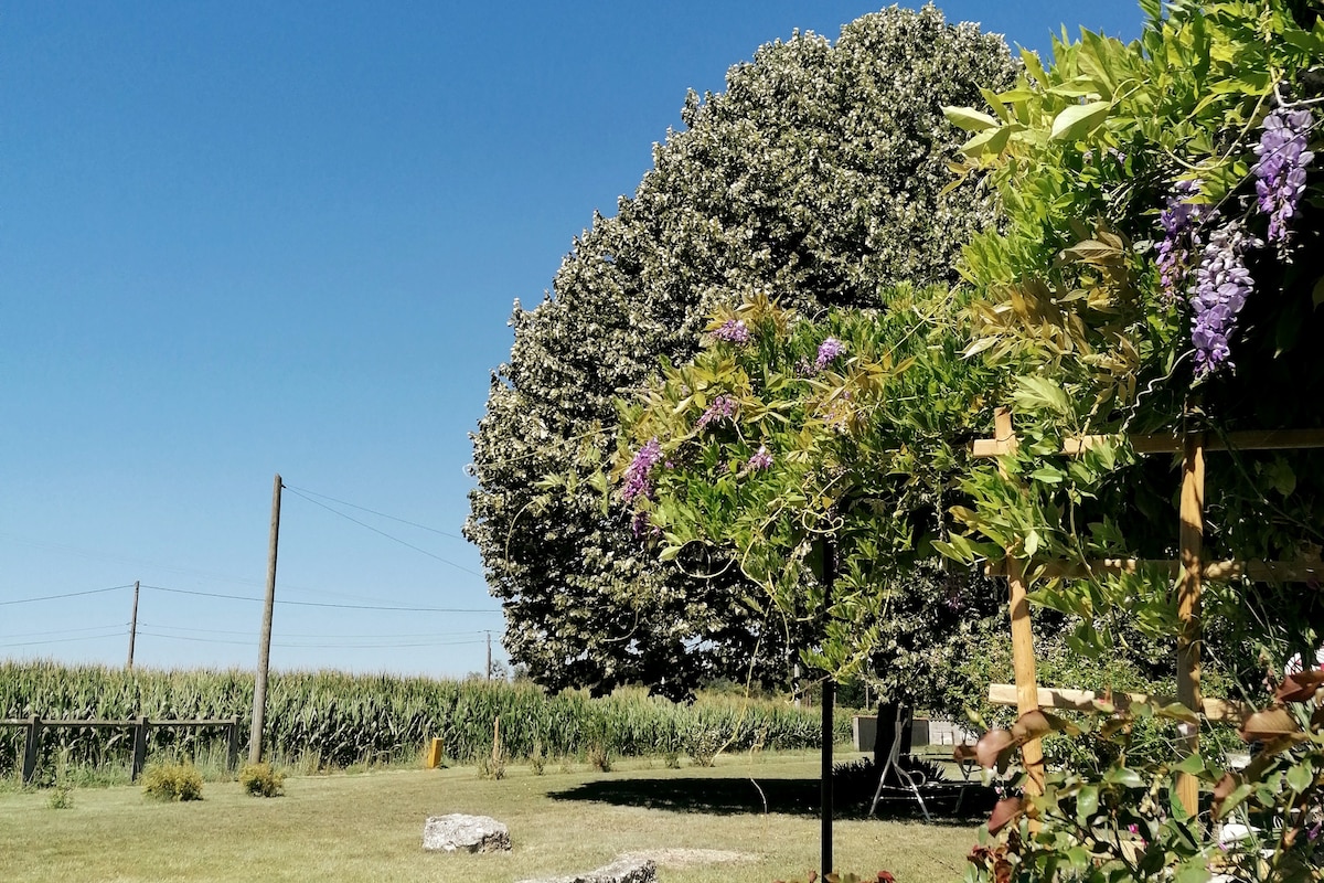 A spacious garden is depicted featuring a large tree with a thick canopy providing shade. Clusters of purple flowers add color near a wooden trellis, while a cornfield stretches into the background beneath a clear blue sky.