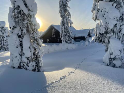 Modern and cosy cottage at Skeikampen