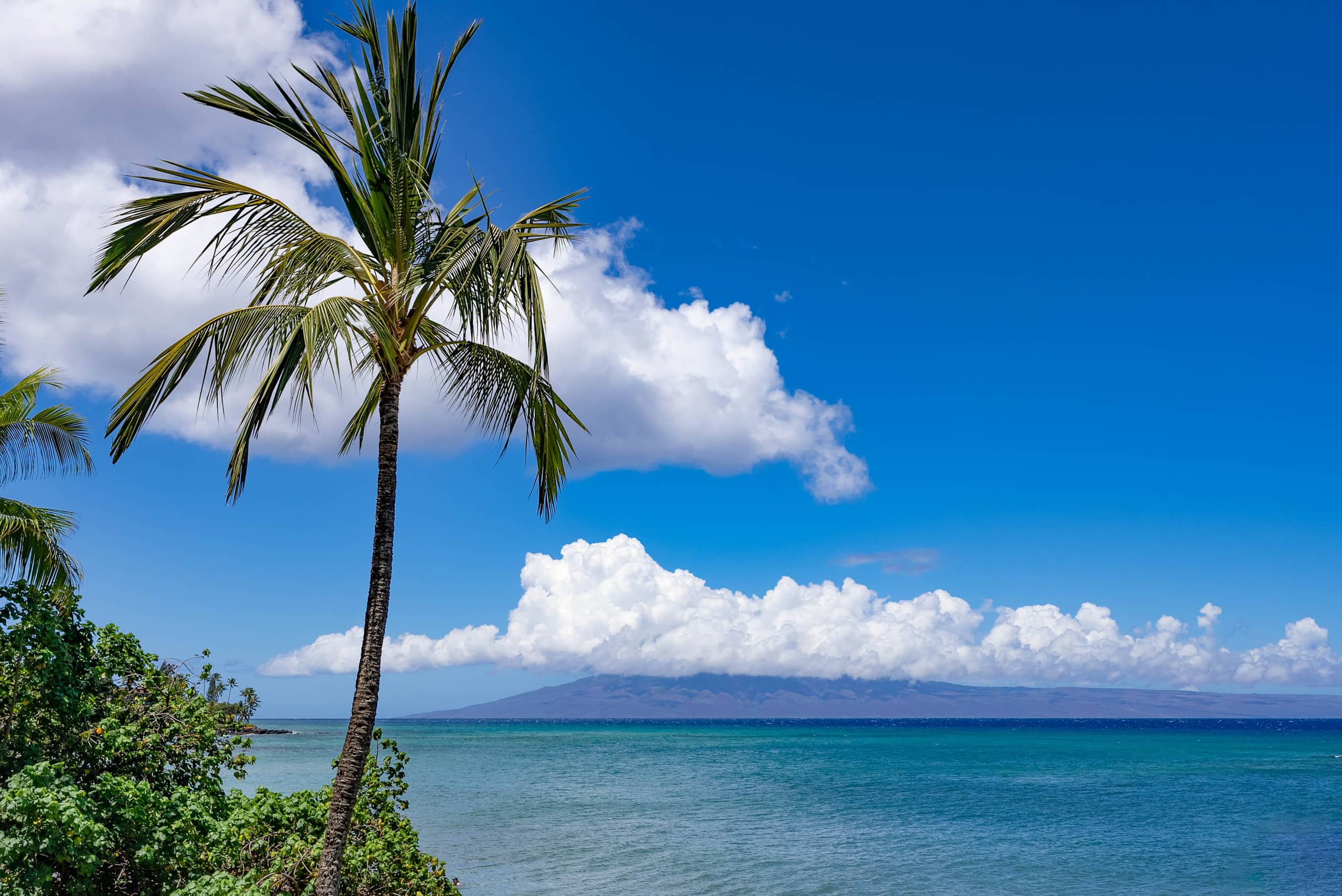 Condo in Lahaina · ★4.83 · 2 bedrooms · 4 beds · 2 baths - Image 33