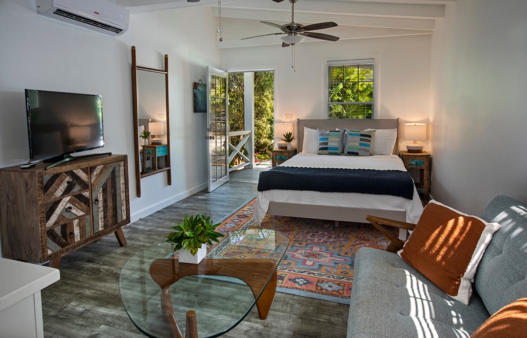 A bright and airy room features a spacious bed with crisp linens, complemented by a cozy sofa and a decorative area rug. Large sliding glass doors open to a private outdoor space, while a flat-screen TV and modern accents enhance the contemporary design.