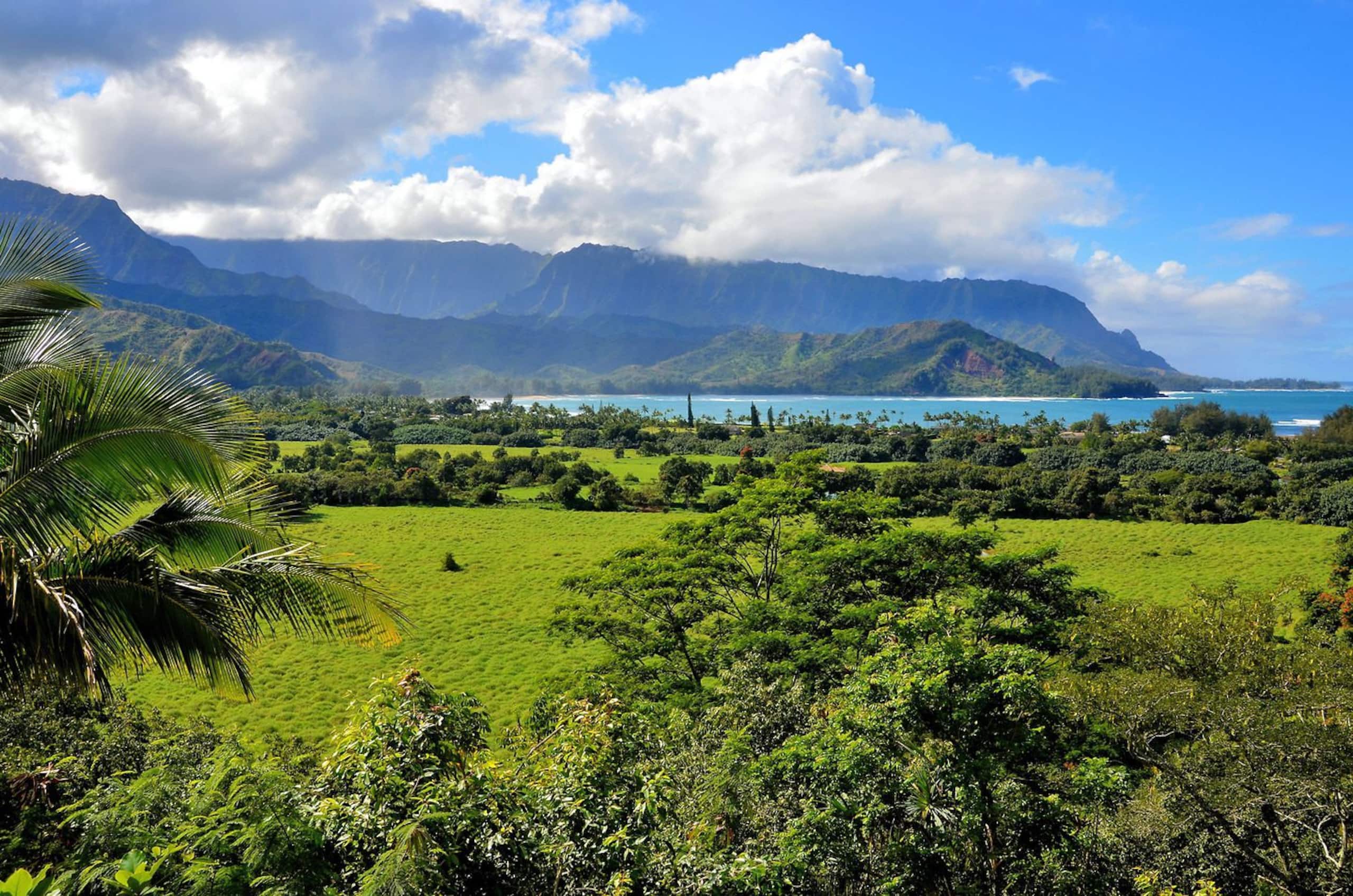 Spacious Princeville Retreat w/ Hanalei Bay View! - Photo 44