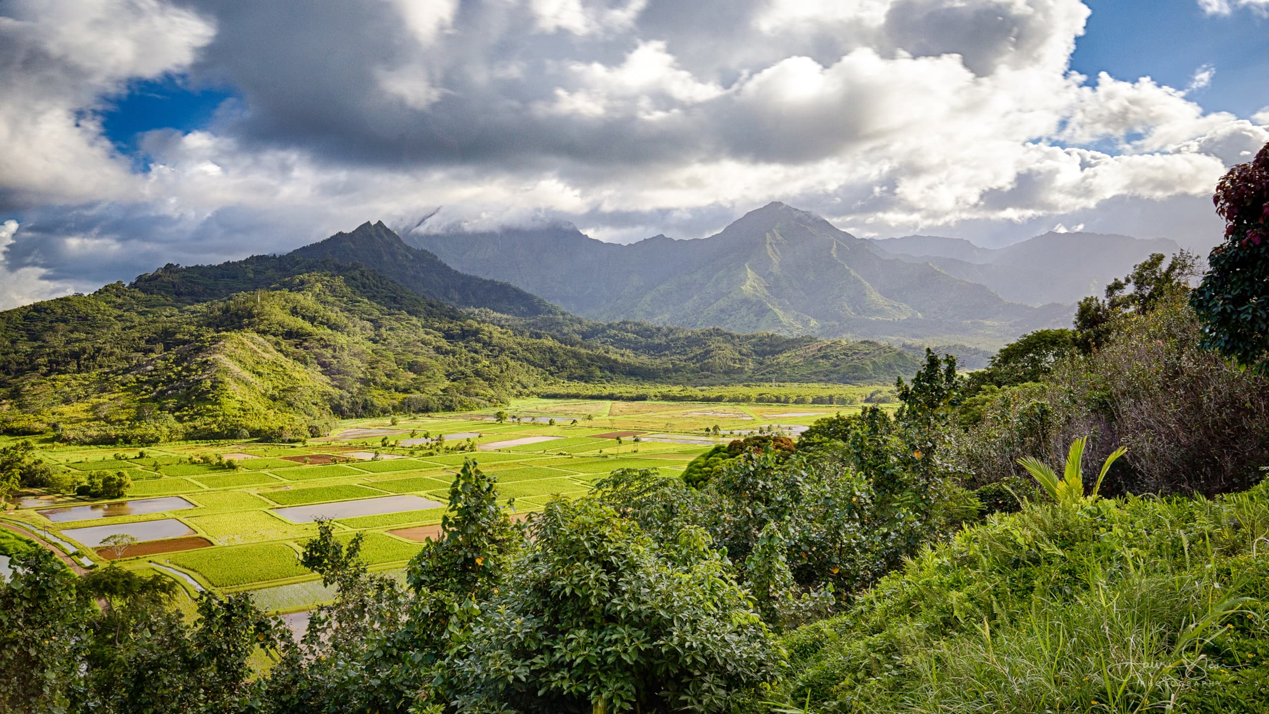 Spacious Princeville Retreat w/ Hanalei Bay View! - Photo 55