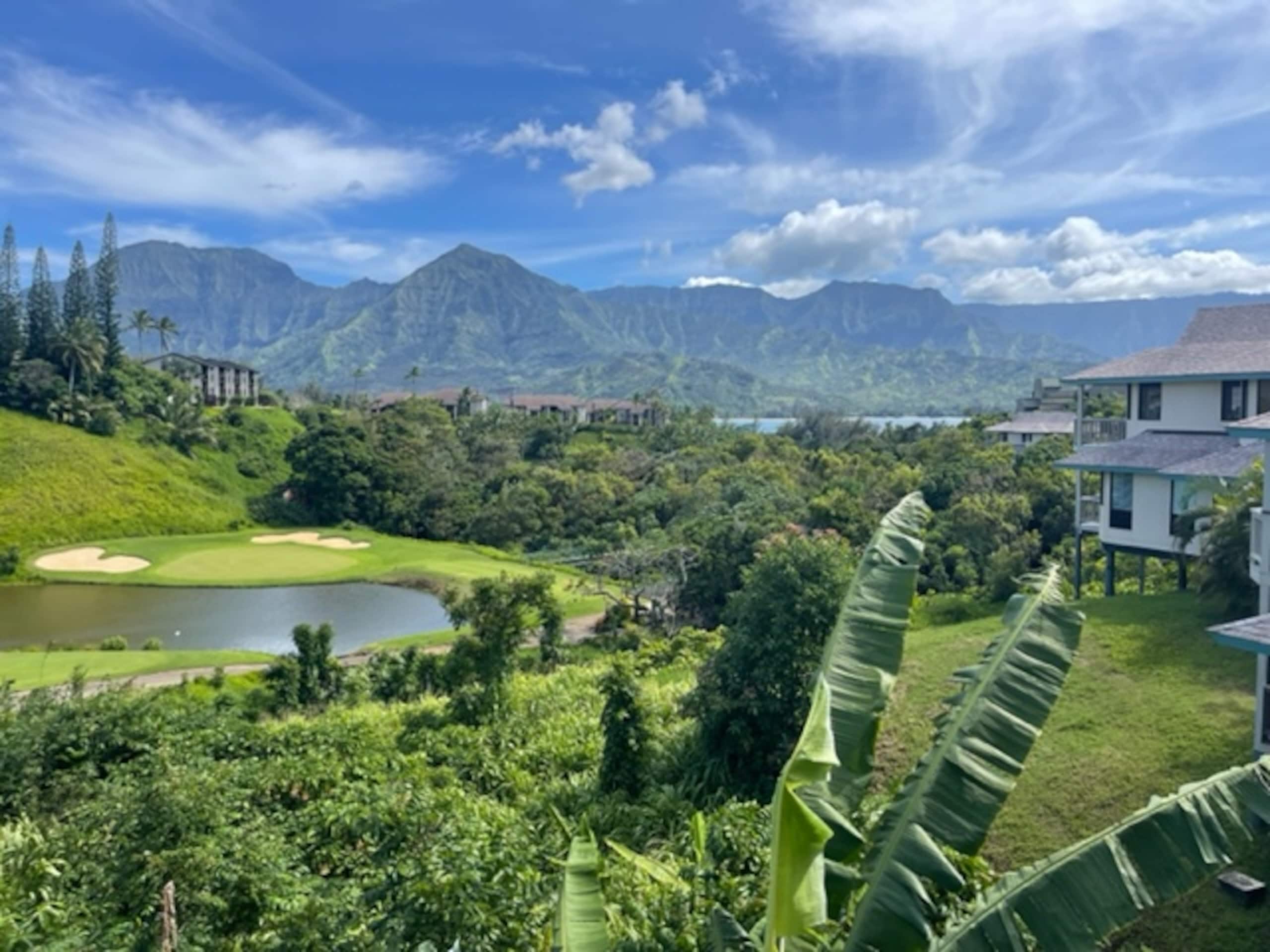 Spacious Princeville Retreat w/ Hanalei Bay View! - Photo 36