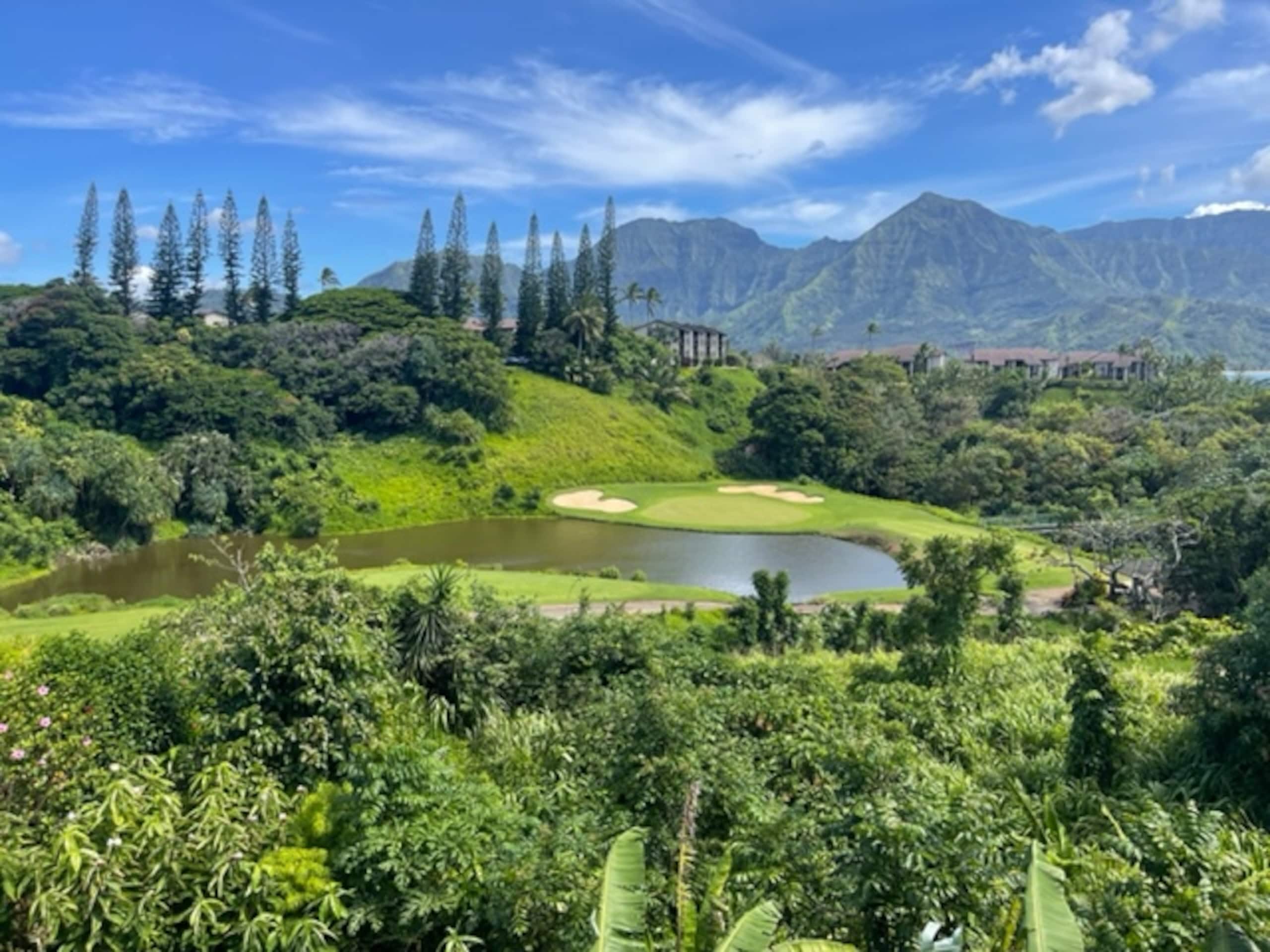 Spacious Princeville Retreat w/ Hanalei Bay View! - Photo 35