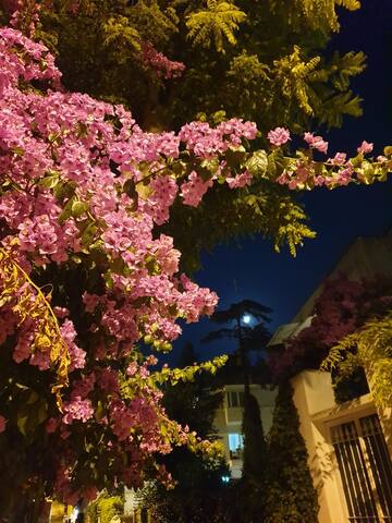 Beautiful Villa with Garden in Büyükada gallery image 5