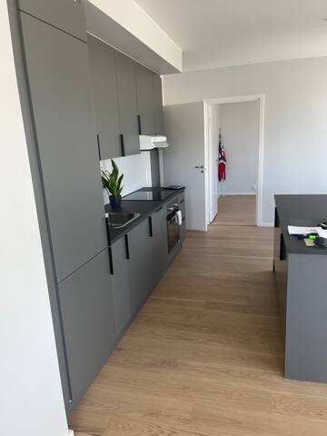 Brand new apartment! gallery image 3