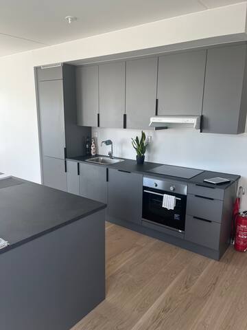 Brand new apartment! gallery image 2