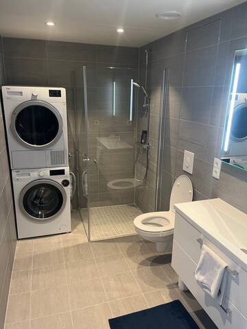 Brand new apartment! gallery image 5