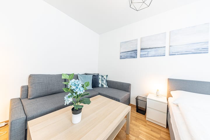 Modern Studio Apartment In Perfect Location! (19) - Vienne