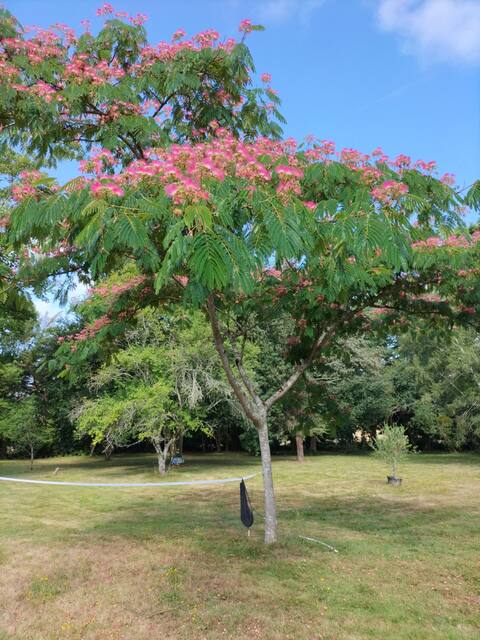 La Grande Racinaie Bed and Breakfast