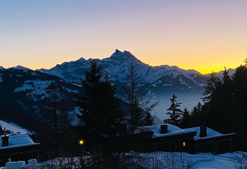 Popular Airbnb listing: Small duplex with stunning views of the Alps in Gryon