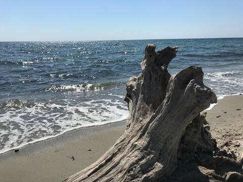 3-bedroom, 300 m walk to the beach / Pool / Terrace