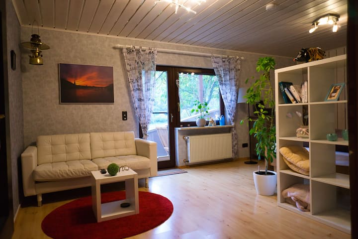 Gemütliche Wohnung Mit Neckarblick - Eberbach