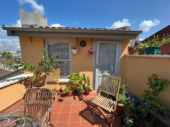 Newly renovated Ottoman House with Rooftop View 1 Townhouses for Rent in Fatih, İstanbul