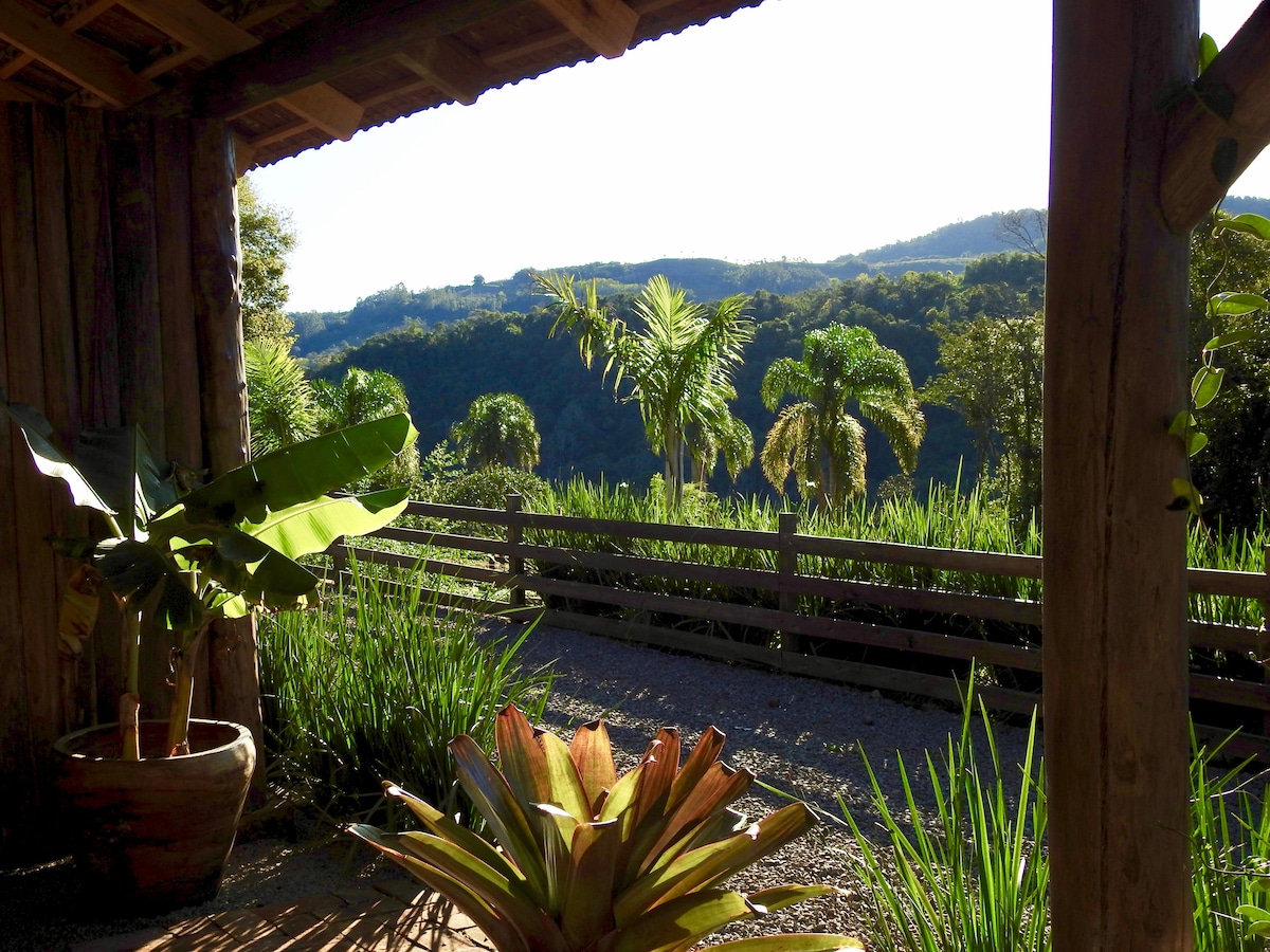 A view from a wooden structure reveals lush green hills and palm trees in the distance. The foreground features potted plants and vibrant foliage, creating a serene and natural setting. The sunlight illuminates the landscape, enhancing the tranquil atmosphere.