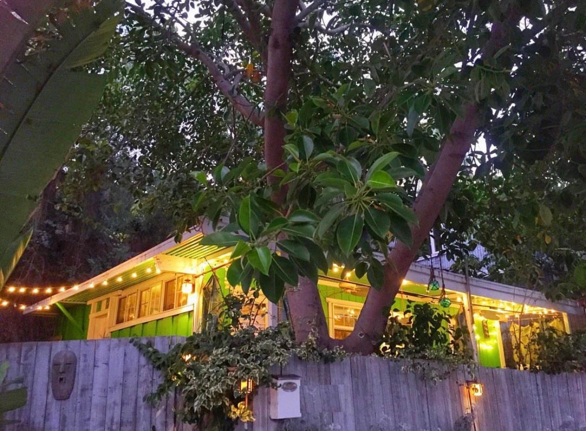 A vibrant bungalow is set amidst lush greenery, with colorful exterior walls accented by warm lighting. A large tree provides shade, and decorative string lights create a welcoming ambiance as twilight descends. The surrounding foliage enhances the natural charm of the property.