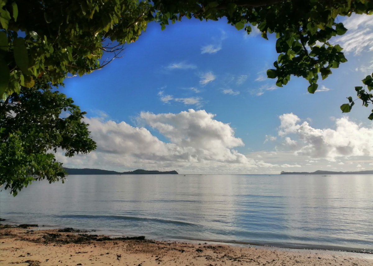 A calm shoreline is framed by lush green foliage, revealing a tranquil sea under a blue sky with soft clouds. The still water reflects the serene atmosphere, while gentle waves lap at the sandy beach, creating a peaceful seaside scene.