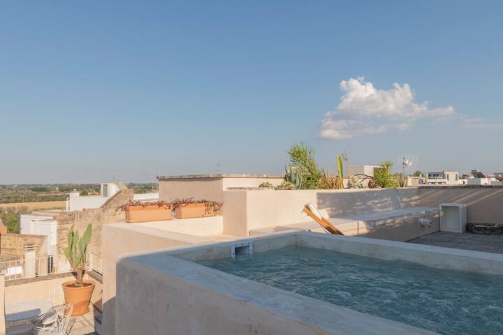 3 bedroom palazzo with roof terrace & plunge pool gallery image 2