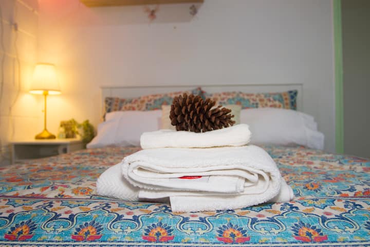 Camera con letto matrimoniale 