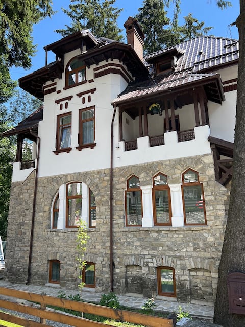Successful Airbnb property: Casa Mugur attic in Sinaia