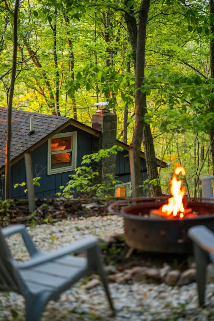 The Nook: Fenced yard, cabin, firepit