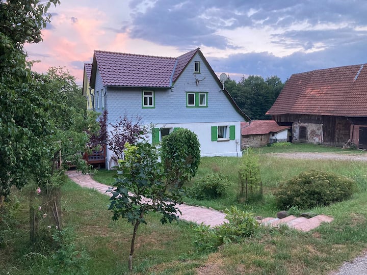 Canada in the Odenwald renovated farmhouse half Houses for Rent in