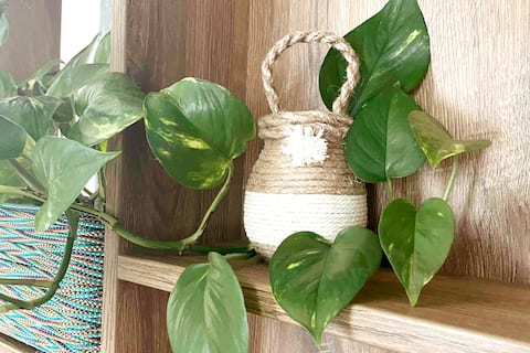 Coco Luxury Apartment