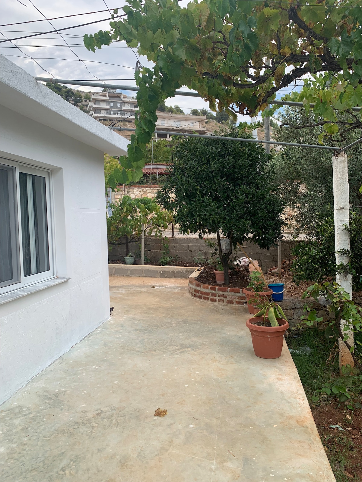 A concrete patio area is framed by a small white building, showcasing a garden with greenery and potted plants. A tree and bushes are visible, along with a glimpse of the surrounding landscape. Power lines stretch across the sky in the background.