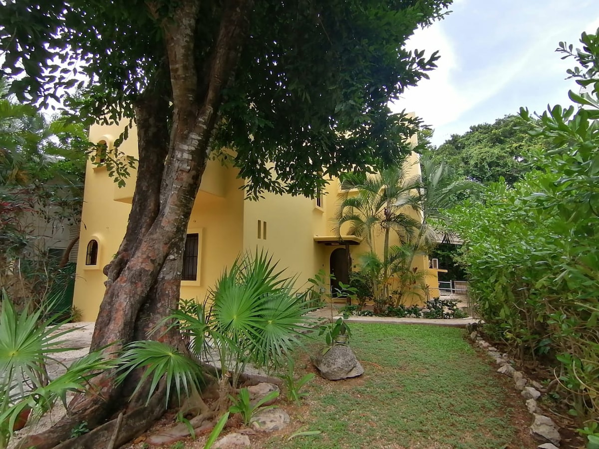 anemona playacar rentals anemona playacar rentals