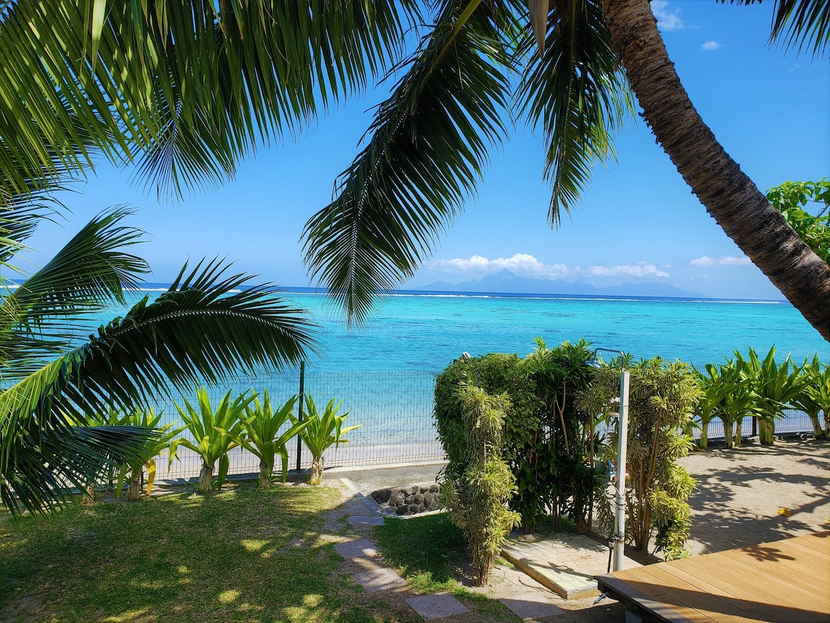 A vibrant view of the turquoise lagoon is framed by lush palm fronds and green foliage. The horizon is dotted with distant mountains, contrasting with the clear blue sky. A well-maintained lawn leads towards the water's edge, enhancing the serene coastal atmosphere.