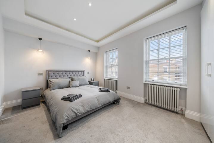 Modern Townhouse with Cinema Room in London SE1 gallery image 4