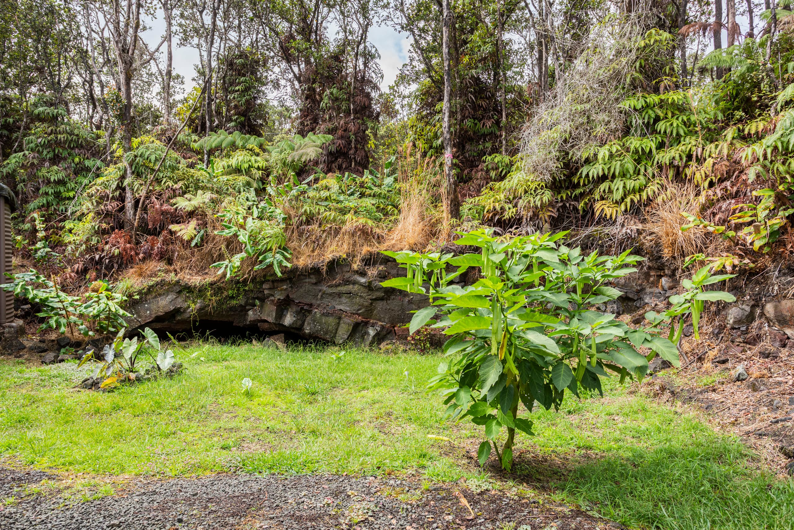 Home in Volcano · ★4.85 · 3 bedrooms · 4 beds · 2 private baths - Image 38