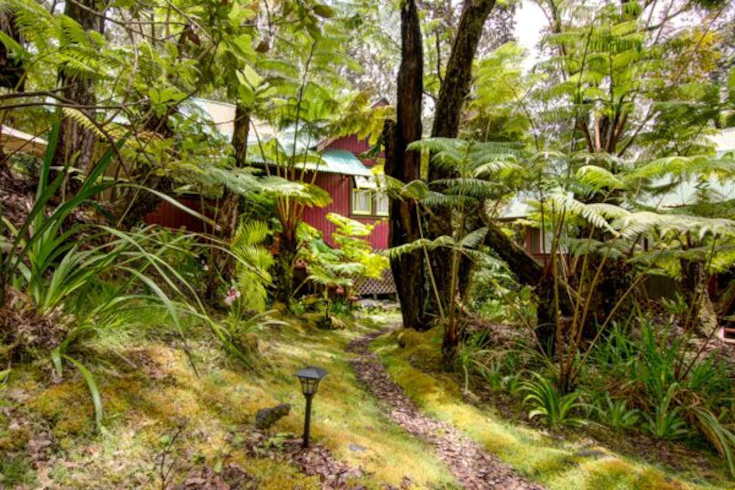 Romantic, Private Cottage Nestled Away in Volcano - Image 10