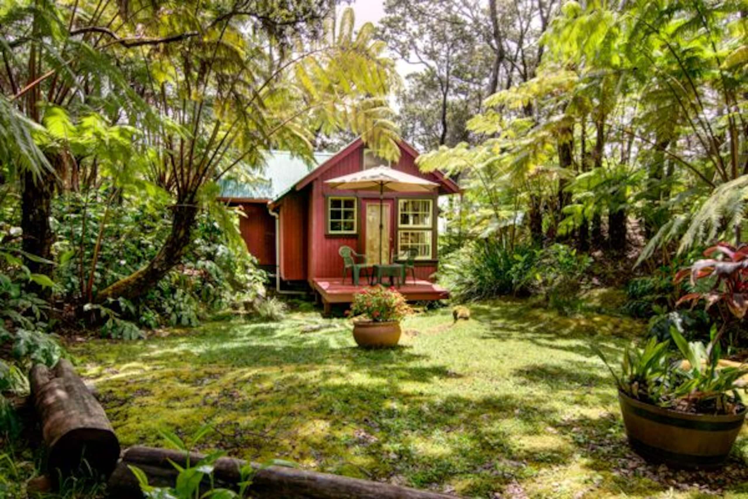Romantic, Private Cottage Nestled Away in Volcano - Image 1