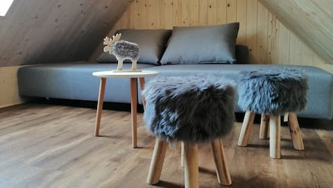 Successful Airbnb property: Alpine Spirit Family Apartment in Log