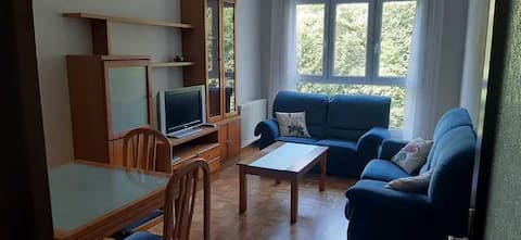 Successful Airbnb property: Tourist apartment "El Reboriu" in Cangas de Onis in Cangas De Onís
