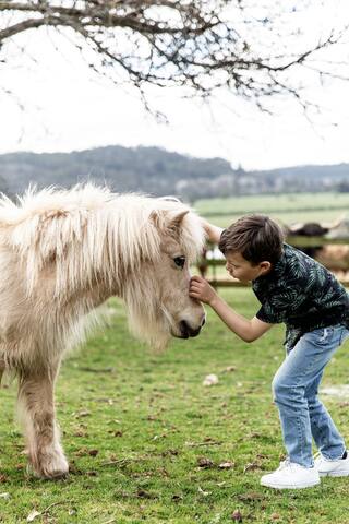 Thornby Farm stay gallery image 4